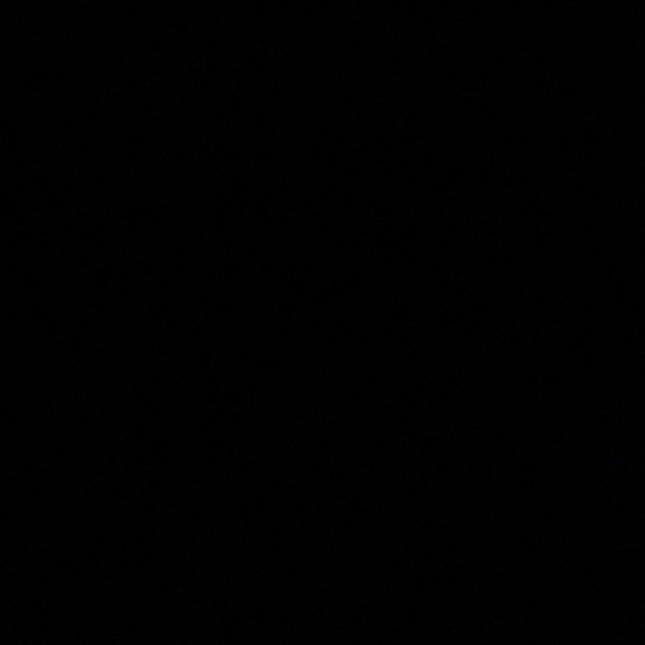 Meet your Posher, Malena - Picture 1 of 1